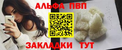 твердый Кингисепп