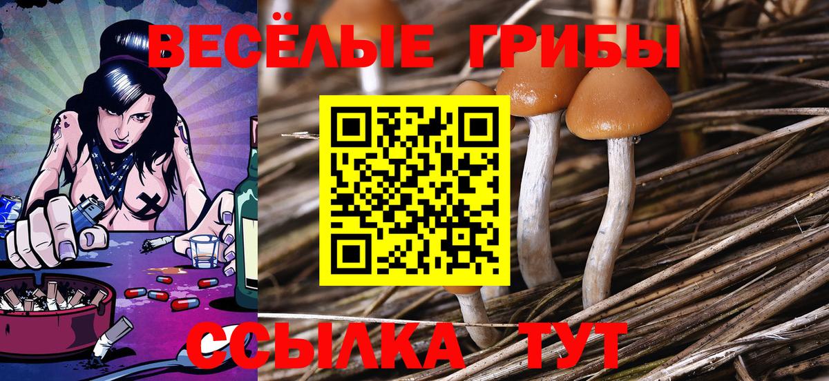 Красноармейск  Псилоцибиновые грибы Cubensis  где продают   Вход с VPN  Псилоцибиновые грибы MAGIC MUSHROOMS 