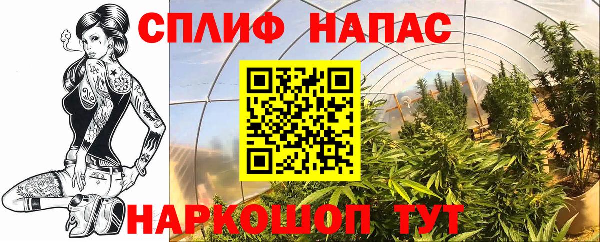 Бошки марихуана VHQ Красноармейск
